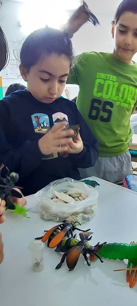 مدرسه ابتدایی پسرانه میراث